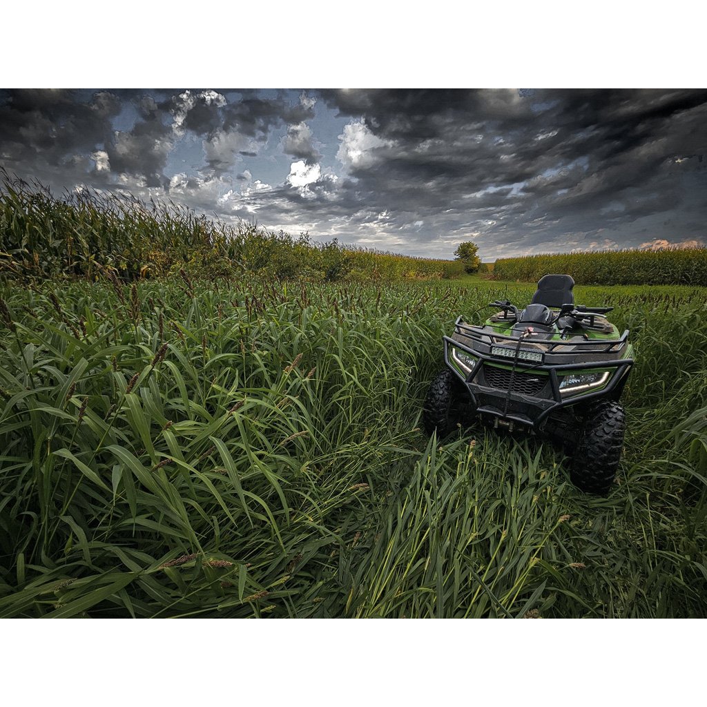 Domain Landing Strip Seed 1-4 Acre - Image 2