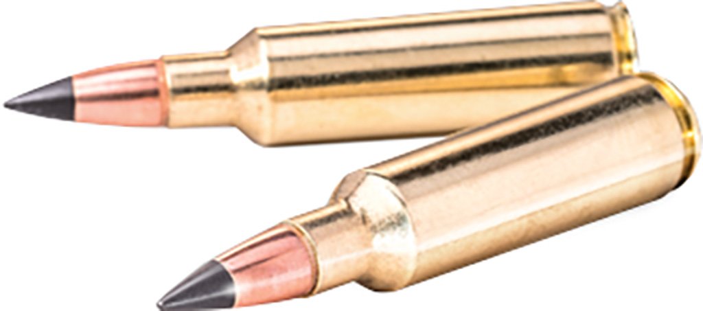 Winchester Deer Season Bullet 270 Cal 130 Gr. Xp 100 Bx. - Image 2