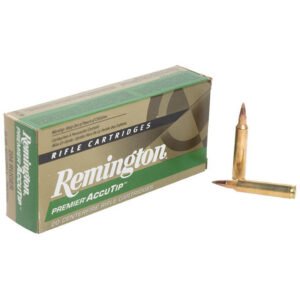 Remington Premier Rifle Ammo 3006 Sprg. 172 Gr. Speer Impact 20 Rd.