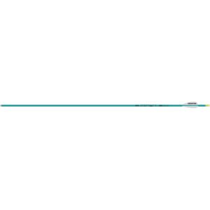 Easton Genesis Arrows Teal 1820 6 Pk.