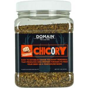 Domain Chicory Pounder Seed 1-8 Acre