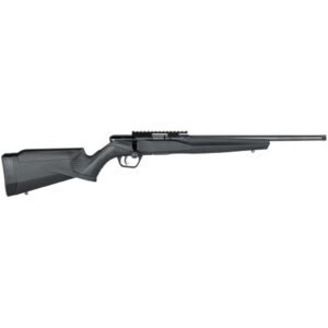 Savage B22 Magnum Fv-sr Rifle 22 Mag. 16.25 In. Black Threaded Rh