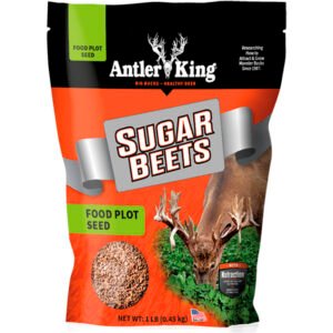 Antler King Sugar Beets Seed 1-8 Acre