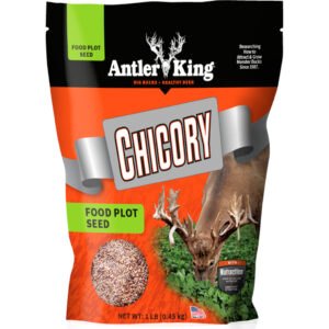Antler King Chicory Seed 1-4 Acre